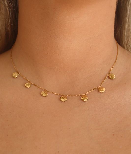 Shell Necklace